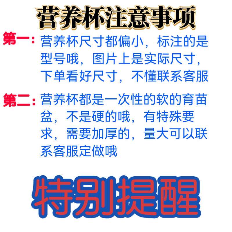 黑色一次性塑料营养钵营养袋加厚营养杯育苗杯防老化育苗袋小黑碗