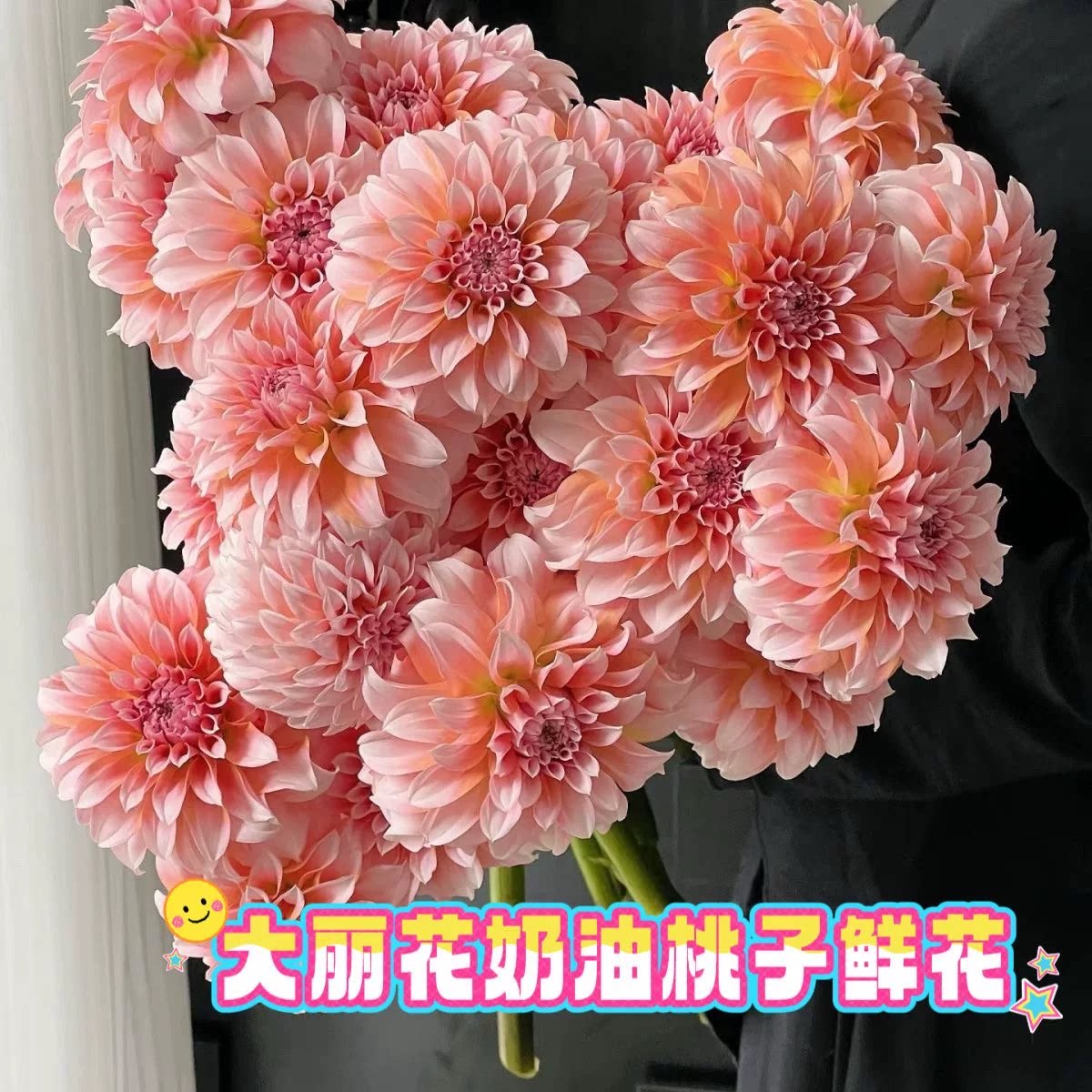 大丽花鲜花鲜切花水养花期超长云南基地直发A级奶油桃子水培家用