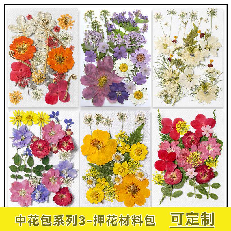 干花押花diy植物标本 脸部装饰 多款花材押花材料包 儿童手工影楼