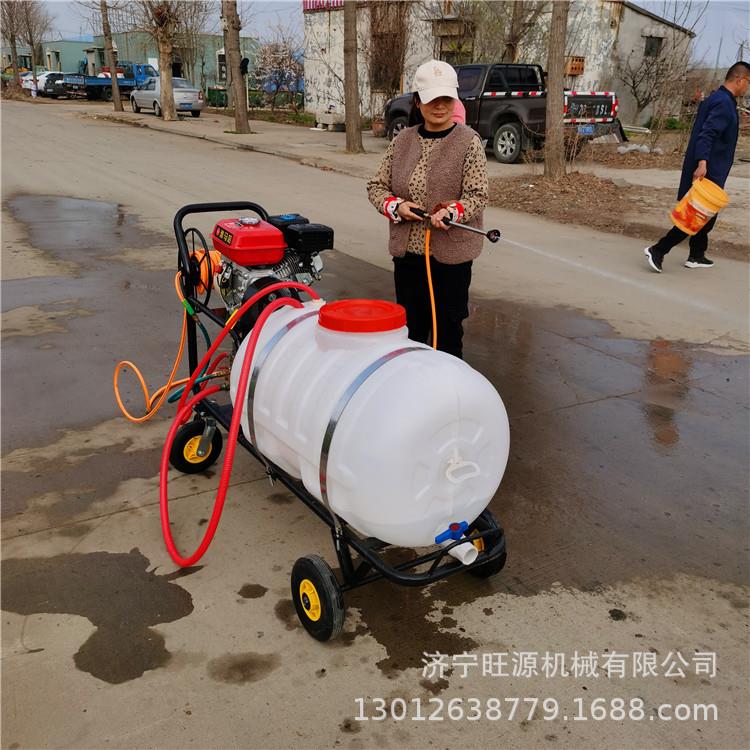 农用自走式手推打药机 养殖场消毒防疫喷雾器 汽油高压拉管打药机