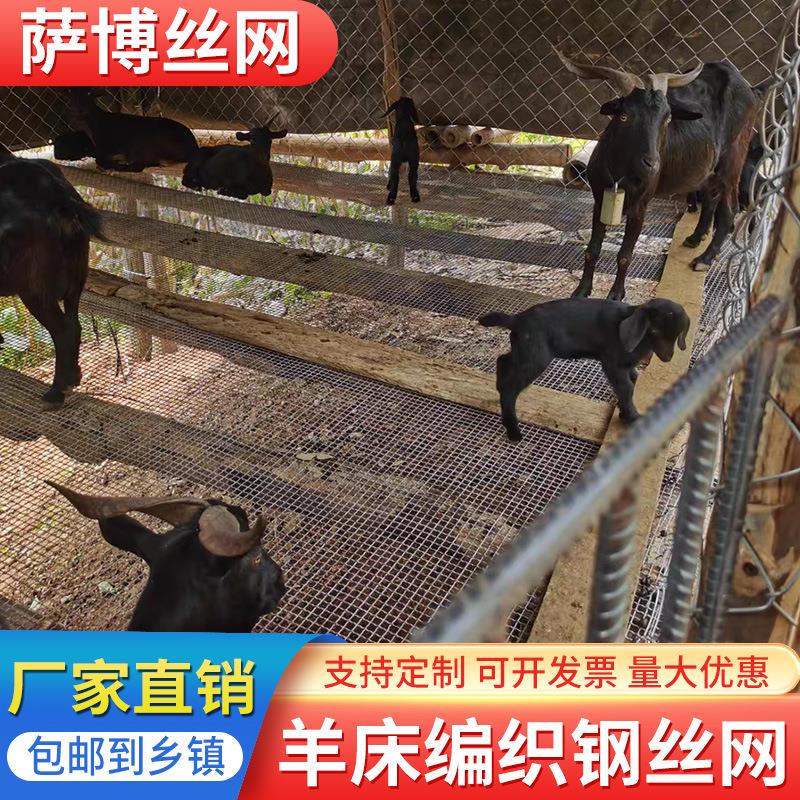 羊床踩踏钢丝网养羊网羊圈底漏粪网羊床钢丝网