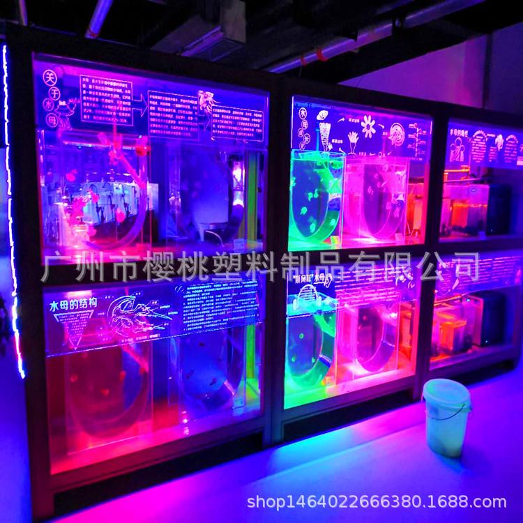 亚克力多功能U型缸 有机玻璃科普缸 水母、鱼、活体展示观赏缸