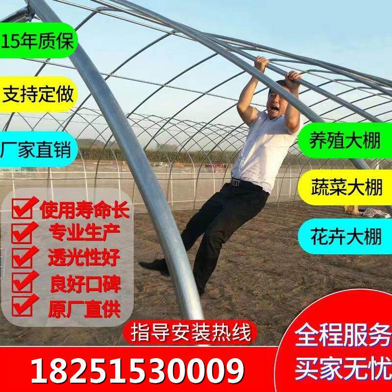 大棚骨架钢管农业蔬菜育苗种植温室草莓养殖肩并肩椭圆管暖棚全套