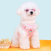 夏款 泰迪狗链子狗绳 狗狗牵引绳公主猫绳子小型犬宠物胸背带背心式