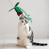 芝小麻魔法少女逗猫棒长杆花朵羽毛布偶自嗨解闷猫咪玩具逗猫玩具