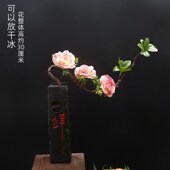 酒店海鲜姿造摆盘装 干冰杯 饰花草盘饰刺身摆件菜品凉菜意境日式