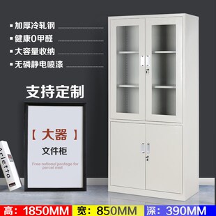 钢制大器械文件柜办公隔板分层架档案收纳资料存储带锁铁皮的柜子