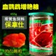 保拿仕血鹦鹉配合饲料500g 宝鱼鱼粮 血鹦鹉鱼食招财鱼红财神元