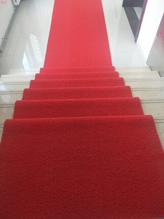 绿色塑料地毯丝圈地毯防滑垫楼梯走廊大门进门垫整卷可裁剪定做