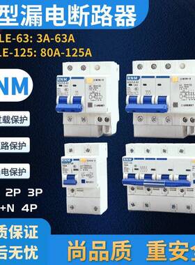 RNM小型漏电断路器新款保护开关DZ47S-63 1P2P3P4P10A16A32A63A