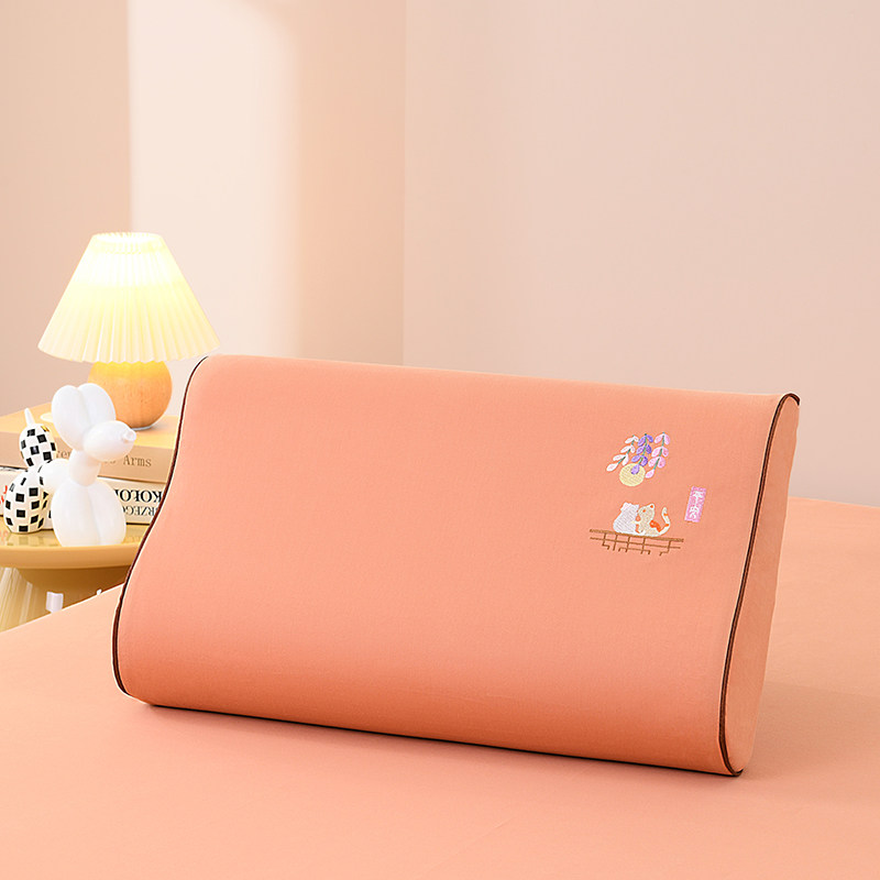 乳胶枕套纯棉磨毛加厚成人记忆枕头套秋冬保暖全棉学生颈椎枕芯套