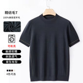 1M501 商务线条 小雀斑专属 半高领可机洗100纯羊毛T男士