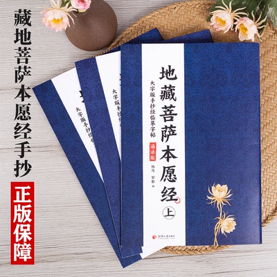 藏地菩萨本愿经手抄注音版大字简体横排大字诵读本国学经典佛学入门书籍经文经书中华文化讲堂正版书籍讲解白话口袋书抄写迷你小本