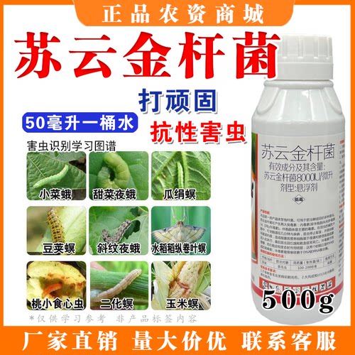 苏云金杆菌杀钻心虫菜青虫