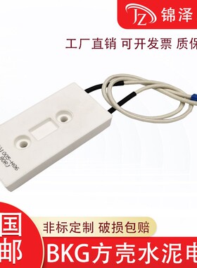 BKG变频器启动充电磁带方壳水泥电阻80W10R20R30R40R50R75R100R欧