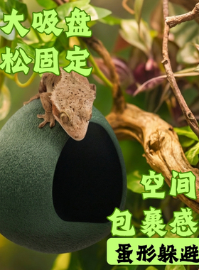 蛋形躲避屋吸盘悬浮蛋仔造景蜕皮睫角守宫树蛙躲避窝蜕皮攀爬树栖