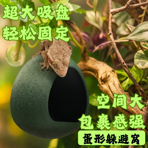 蛋形躲避屋吸盘悬浮蛋仔造景蜕皮睫角守宫树蛙躲避窝蜕皮攀爬树栖