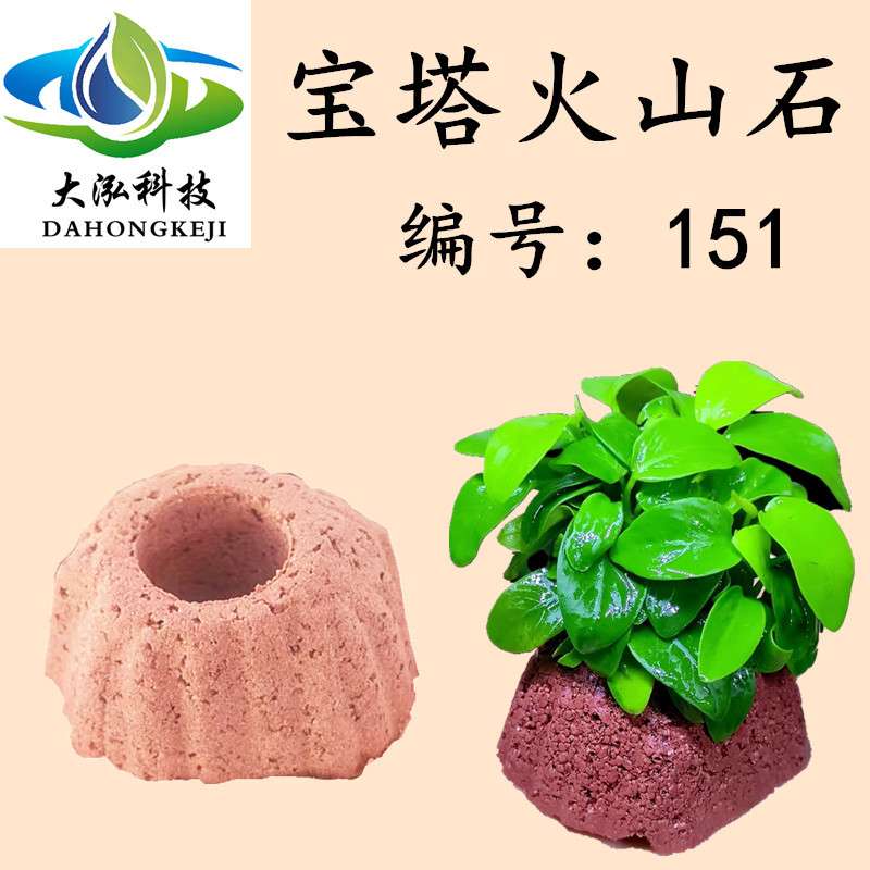 火山石打孔植物固定懒人水草底座定植环培菌石陶瓷环鱼缸天然