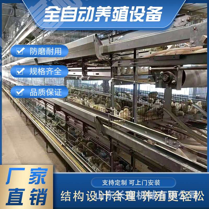 鸡笼蛋鸡笼层叠式养鸡设备立式自动四层清粪鸽子笼鹌鹑养殖育雏笼