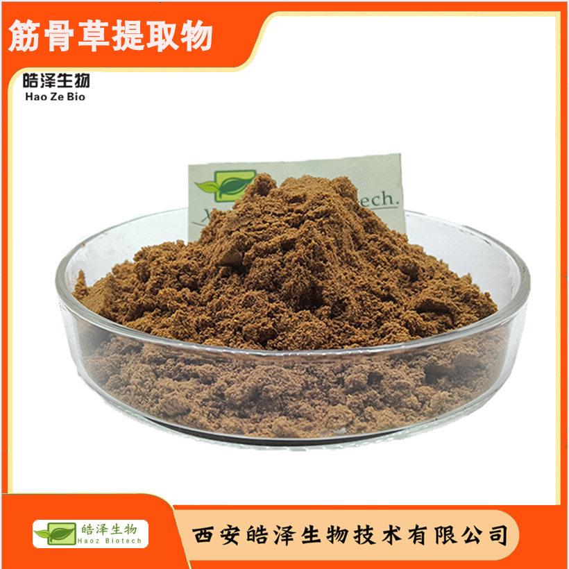 筋骨草提取物10:1筋骨草粉 土克甾酮 筋骨草比例提取皓泽生物现货 - 实物图