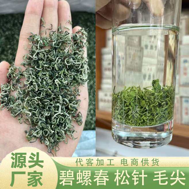 新茶 绿茶 碧螺春 香茶 松针单芽厂家直销量大从优