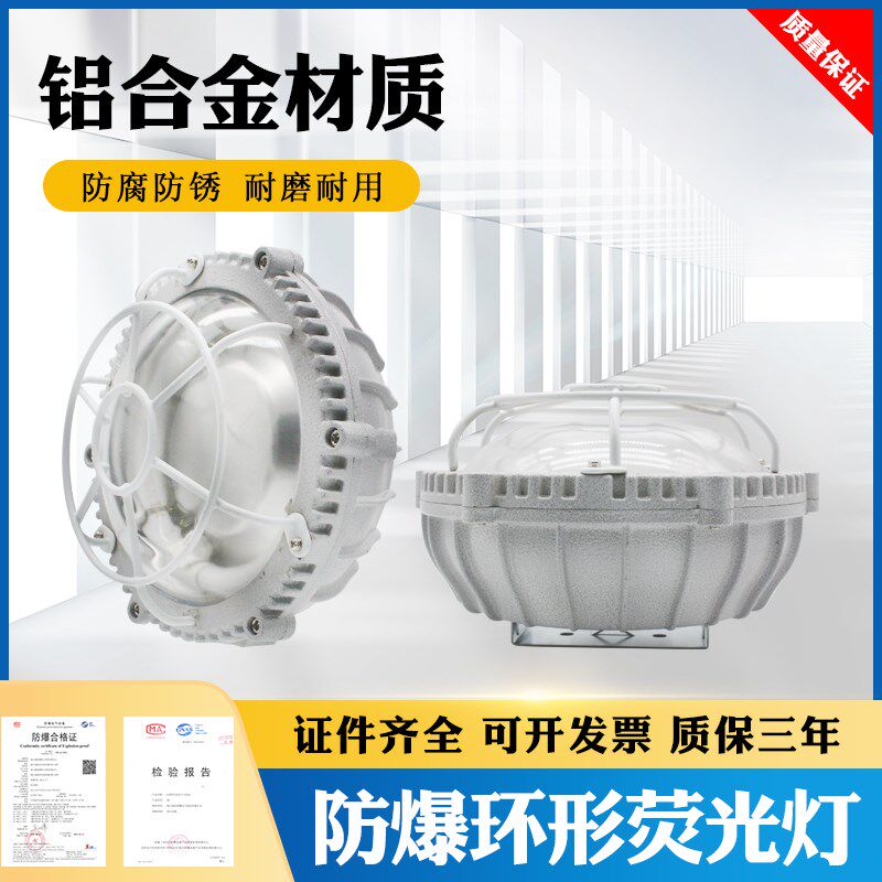 防爆环形荧光灯BHY51,防爆吸顶灯,壁灯,防爆灯,节能灯LED12W