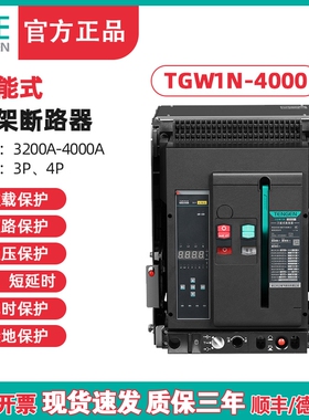 TENGEN天正电气 TGW1N-4000 框架断路器 万能断路器 4000A 3200A