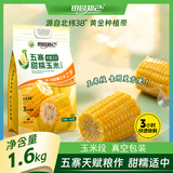 五寨黄糯玉米段200g*8根  券后15.99元包邮