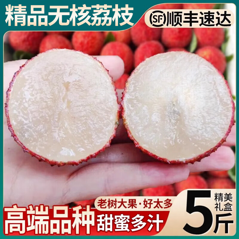 海南无核荔枝【顺丰空运-多地次日达】新鲜水果端午节礼盒礼品盒