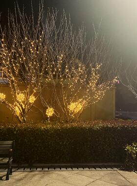 户外防水公园街道发光字灯树木亮化景观文化氛围灯led串挂彩灯