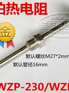 WZP-230/WZP-231/PT100铂热电阻/PT100温度感测器/固定螺纹热电偶