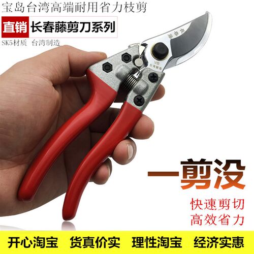 修枝剪园艺工具 花剪园林果树粗枝剪修剪果枝树枝剪园艺修花剪刀