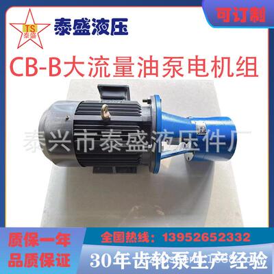 CB-B160JZ低噪音大流量齿轮油泵TXLB-250JZ200400电动电机组500