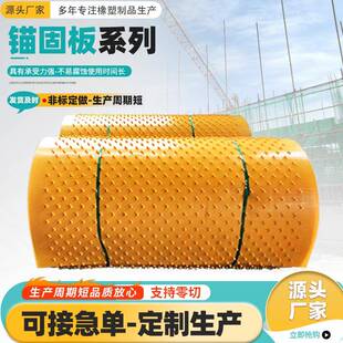 聚乙烯多点锚固板耐腐蚀速格垫隧道管道内衬板防腐板HDPE锚固板