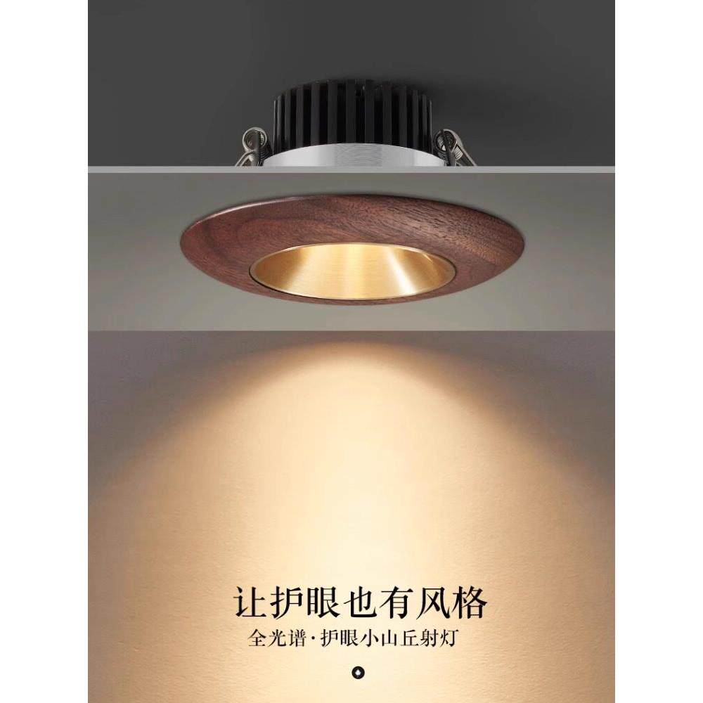 嵌入式实木管射灯入口客厅灯防眩新中式胡桃过道走廊吸顶灯