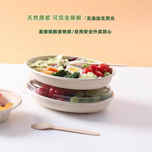 椭圆碗一次性碗纸浆碗可降解环保餐具商用家用