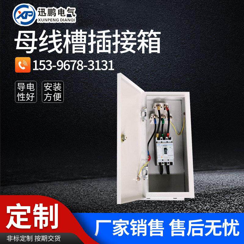 密集型母线槽插接箱 插接式母排配件分线箱 100a200a250a400a630a