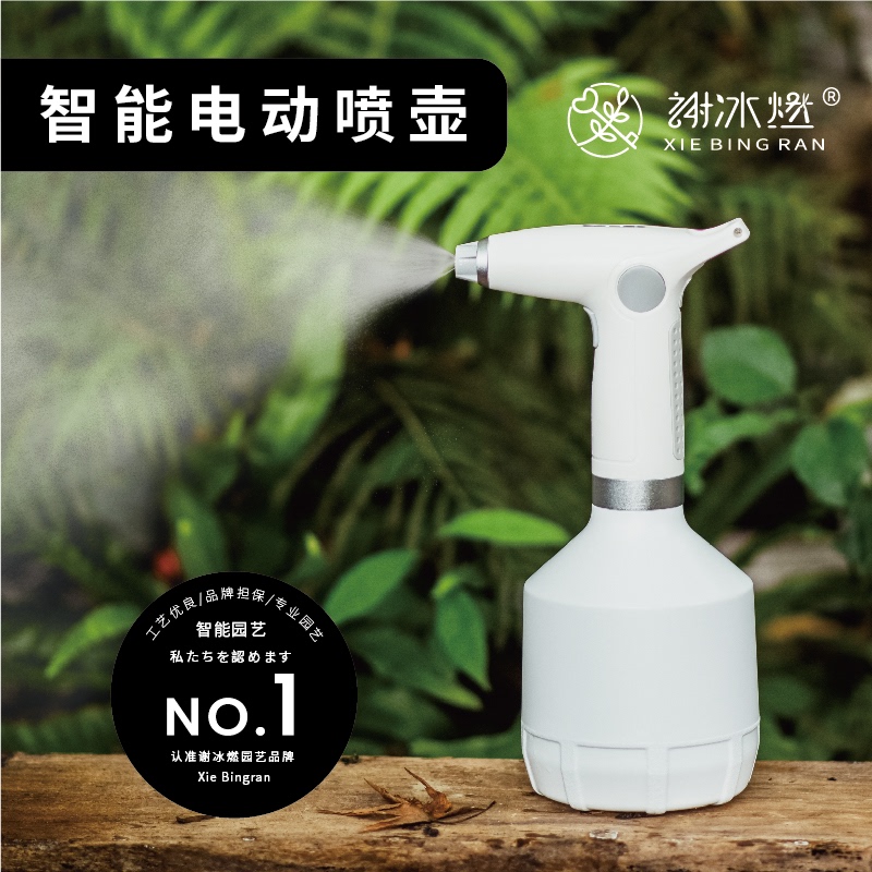 电动高压力喷壶家用消毒喷雾壶 多肉植物防黑腐喷水壶 月季施药用