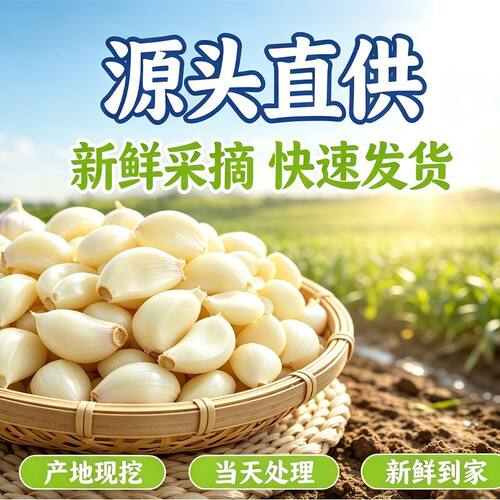 蒜米去皮新鲜蒜米大蒜仔去皮蒜米商用家用蒜米独立包装剥皮紫皮蒜