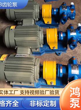 HCB齿轮泵高温油泵输送重油柴油泵润滑油不锈钢泵电动自吸油泵