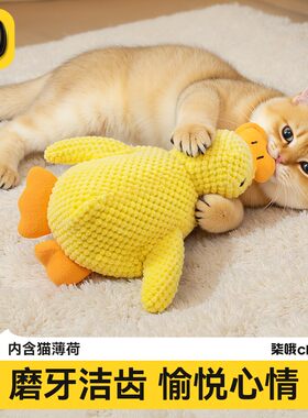 猫咪玩具解闷神器毛绒玩具自嗨发声磨牙耐咬猫咪用品YY