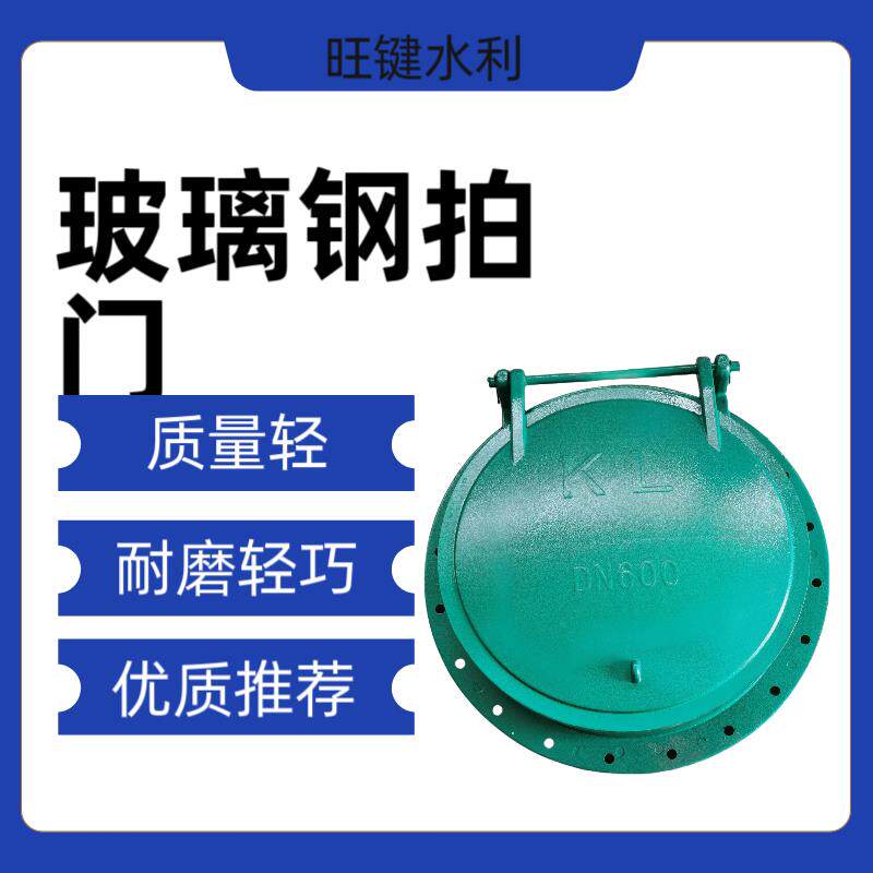 玻璃纤维拍门dn200鱼塘防倒灌铸铁拍门不锈钢拍门dn300铸铁拍门