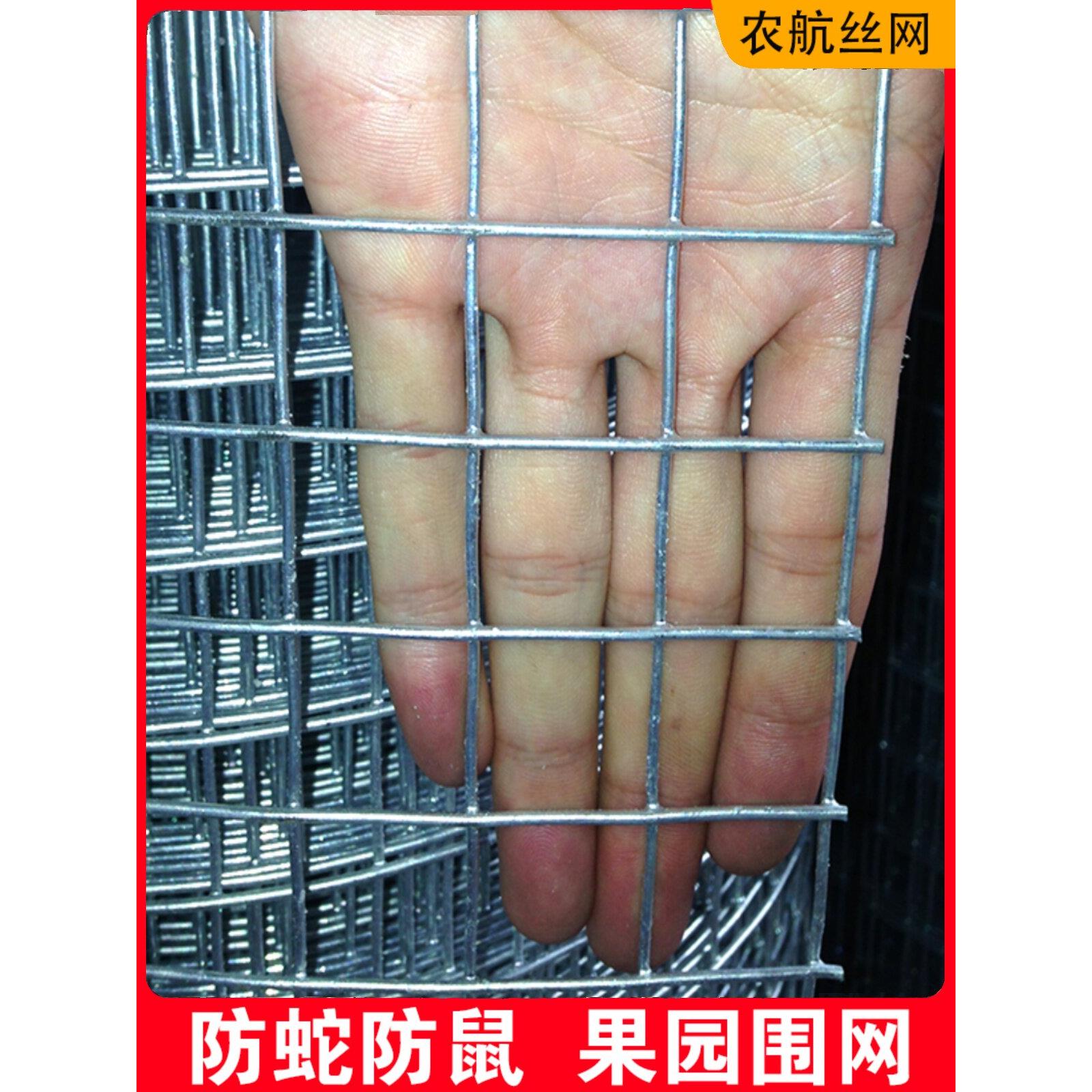 养殖网围栏阳台防护网镀锌网果园用钢丝网护栏网月季花葡萄爬藤网