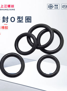 黑色O型圈胶圈橡胶圈油封密封件防水耐高温黑色垫圈丁晴硅氟线径4