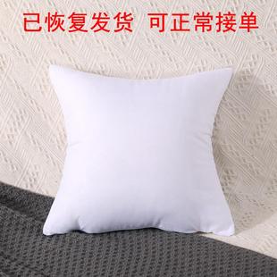 厂家羽丝绒抱枕芯 羽丝棉枕芯 靠垫芯柔软侧睡家居舒睡