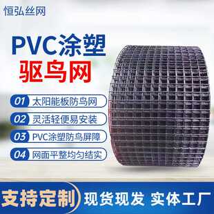 黑色钢丝涂塑太阳能板防鸟网PVC屋顶光伏板防鸟防鼠丝网驱鸟屏障