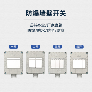 防爆墙壁开关220V明装暗装86型10A单双联三联单双控工业照明开关