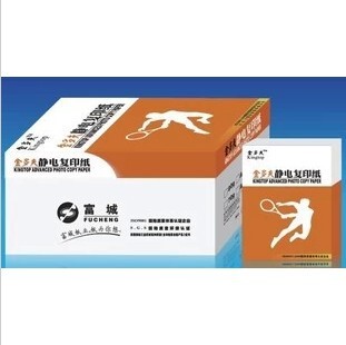 金多夫A4复印纸 80g打印机纸 高级静电复印纸 500张/包 10包/箱