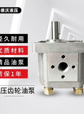 齿轮泵CBN-F,CBN-G304/306/310/316/320/325平建花键扁建液压油泵