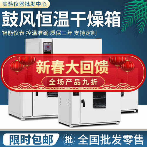 电热鼓风干燥箱恒温实验室带可视窗烘干箱小型烤箱高温工业烘箱